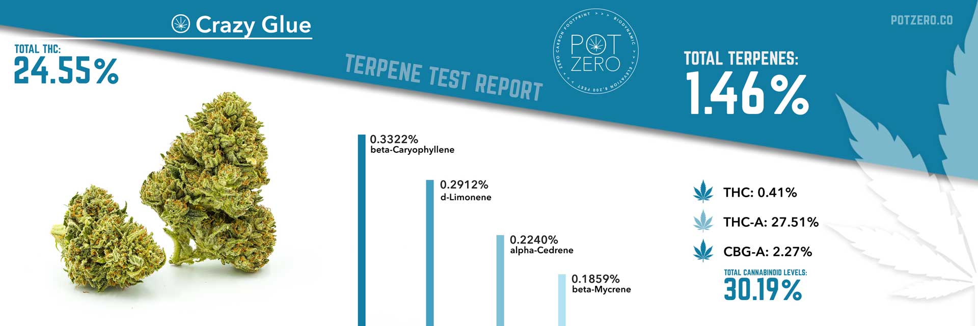 crazy glue strain terpene test report