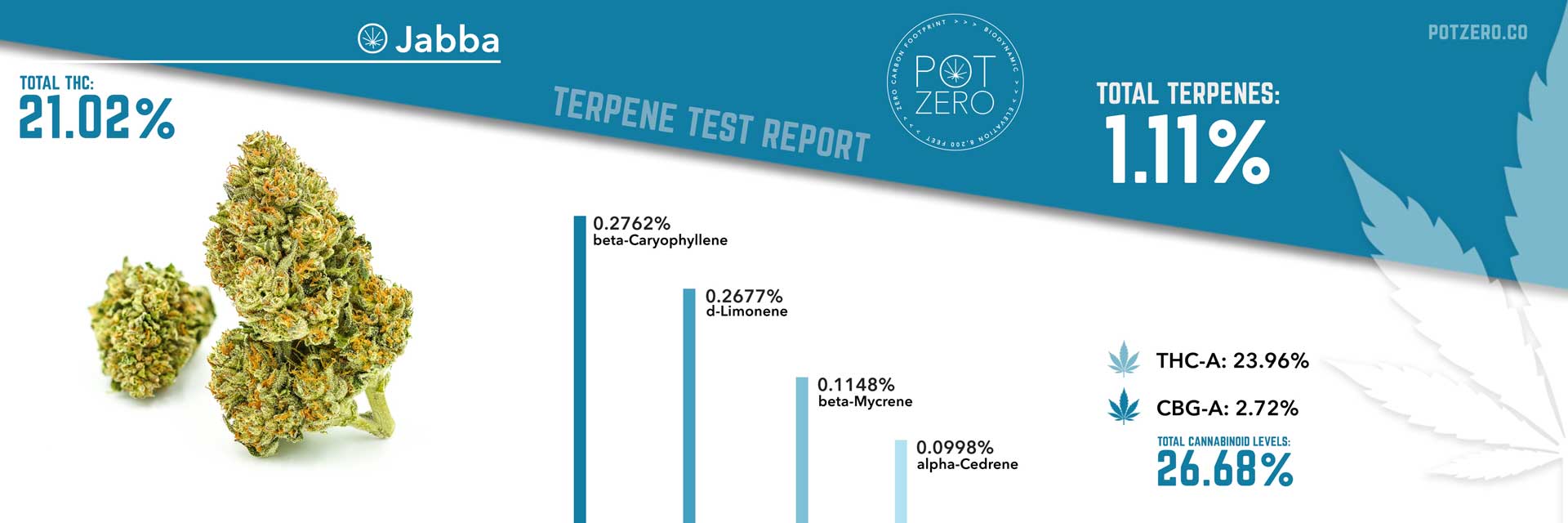 jabba strain terpene test report